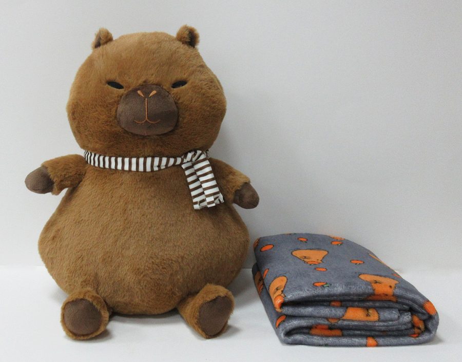 Plush pillows and cushions