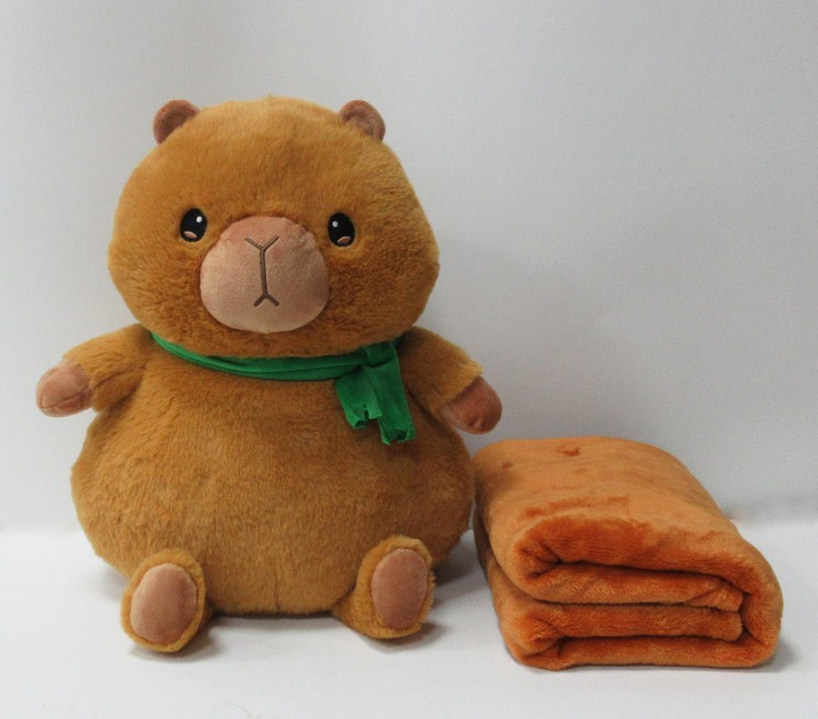 Pillows & Cushions — factory sample 6